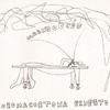 Ernesto Neto - Ernesto Neto
