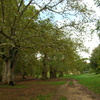 Villa Borghese
