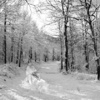Massimo Pastore - Bianco Cold Landscapes