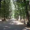 Parco delle Cascine