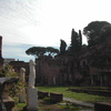 Roman Forum and the Palantine