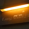 Ristorante Lungarno 23