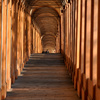 Portico San Luca