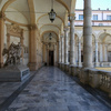 Palazzo dell'Università