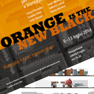 Orange is the New Black. Due progetti per una nuova GAMC a Viareggio