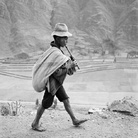 Werner Bischof. Fotografie 1934-1954