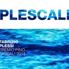 Premio Pino Pascali 2014. Fabrizio Plessi