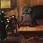 L'elefante