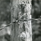 Emilio Scanavino. Luce e Materia. Fotografie degli anni Sessanta