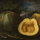 Bartolomeo Bimbi, Zucca dei monaci di Monteoliveto, 1714, Olio sul tela | Courtesy Museo di Storia Naturale dell’Università degli studi di Firenze, Museo della natura morta nella Villa Medicea di Poggio a Caiano, 