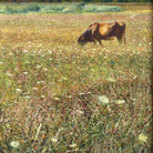 Umberto Boccioni, Campagna romana o Meriggio, 1903, Olio su tela