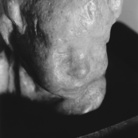 Come elegia. Angelo Garoglio interpreta le sculture di Medardo Rosso