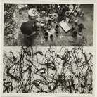 Jackson Pollock at work, 1950 / Rudy Burckhardt, photographer. Jackson Pollock and Lee Krasner papers, Archives of American Art, Smithsonian Institution.