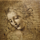 Leonardo da Vinci, Testa di donna, detta 