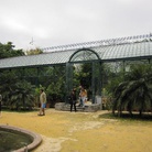 Orto botanico