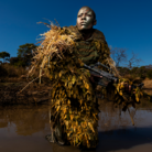 World Press Photo 2019