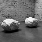 Naturecultures. Arte e Natura dall’Arte povera a oggi. Dalle Collezioni della Fondazione per l’Arte Moderna e Contemporanea CRT al Castello di Rivoli