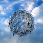 Tomás Saraceno, Se 60 Flying Garden, 2006, 60 palloncini in pvc, elastici, pianta di tillandsia, elio, dimensioni variabili, Collezione Agiverona