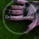 Debitum Naturæ (parte II)