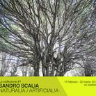 Sandro Scalia. Naturalia / Artificialia