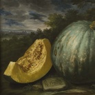 Bartolomeo Bimbi, Zucca del giardino graducale di San Francesco a Pisa, 1711, Olio sul tela | Courtesy Museo di Storia Naturale dell’Università degli studi di Firenze, Museo della natura morta nella Villa Medicea di Poggio a Caiano, 