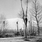 Elio Ciol, Foto dal set del film Gli ultimi | Checo partecipa alla potatura degli alberi, Friuli, 1962 | © Elio Ciol