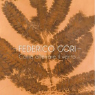 Federico Gori. Come afferare il vento