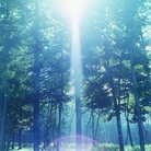 Rinko Kawauchi. Illuminance