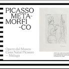 Picasso metamorfico
