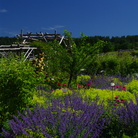 Il Giardino della Rosa di Ronzone (Ronzone - TN), Nuovo ingresso nella rete Grandi Giardini Italiani 2017| Courtesy of Archivio Grandi Giardini Italiani, www.grandigiardini.it