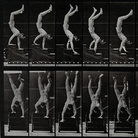 Eadweard Muybridge, A man walking on his hands, 1887, 38.5 x 20 cm, Wellcome Library, Educational Project | © Wellcome Images