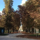 #IORESTOACASA, LA CULTURA NON SI FERMA: ALLA SCOPERTA DEI 140 ALBERI MONUMENTALI DEL DUCATO ESTENSE