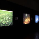 Museocity Milano - Alfredo Jaar. Field, Road, Cloud