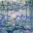 Cinque minuti con MONET. A tu per tu con le Ninfee