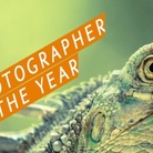 Wildlife Photographer of the Year 2015