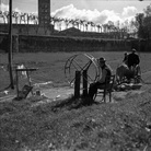 Lucca Città delle Mura