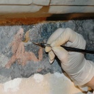 Restauratori al lavoro sugli affreschi della sala, Villa del Principe, Genova