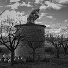 Alessandro Celani, Rodin sul tetto, 2015. Fotografia