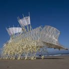 Theo Jansen, STRANDBEEST, Animaris Umerus | © Media Force