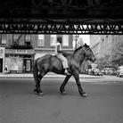 ALLA RICERCA DI VIVIAN MAIER. La tata con la rolleiflex di John Maloof e Charlie Siskel