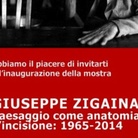 Giuseppe Zigaina. Paesaggio come autonomia. L'incisione, 1965-2014