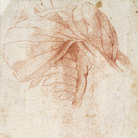 Michelangelo Buonarroti (1475 - 1564), Studio di una spalla (verso), 1515-1520, Gesso rosso, Senza cornice 27.8 x 18.9 cm, Haarlem, Museo Teylers, Acquistato nel 1790 | Immagini © Museo Teylers, Haarlem