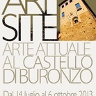 Art Site 2013