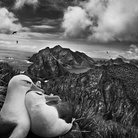 Sebastião Salgado. Dalla mia terra alla Terra