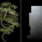 Irene Kung, Manchurian Pine and New Museum | © Irene Kung | Courtesy of Galleria Valentina Bonomo