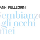 Gianni Pellegrini. Sembianze agli occhi miei