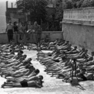 Il tempo e l'istante. Paesaggi fotografici del Garda 1870-2000