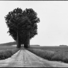 Henri Cartier-Bresson. Landscapes/Paysages