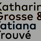 Le numerose irregolarità. Tatiana Trouvé & Katharina Grosse