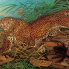 Leopardo